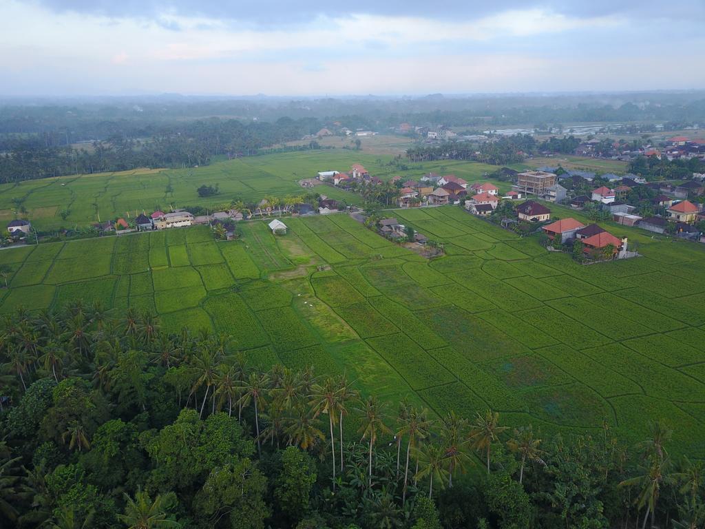 Pangkung Sari Hotel Ubud Kültér fotó