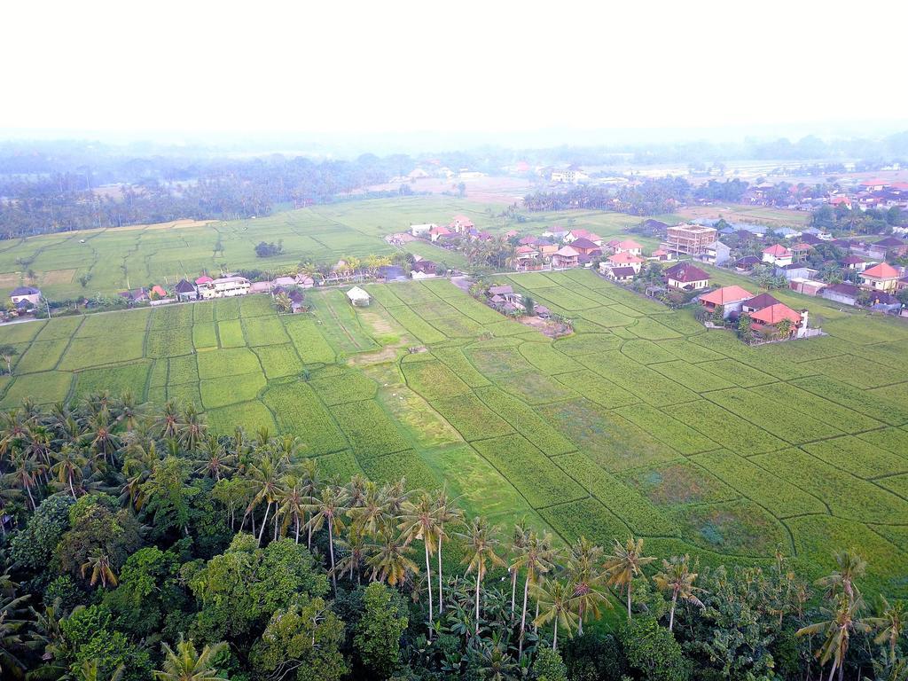 Pangkung Sari Hotel Ubud Kültér fotó