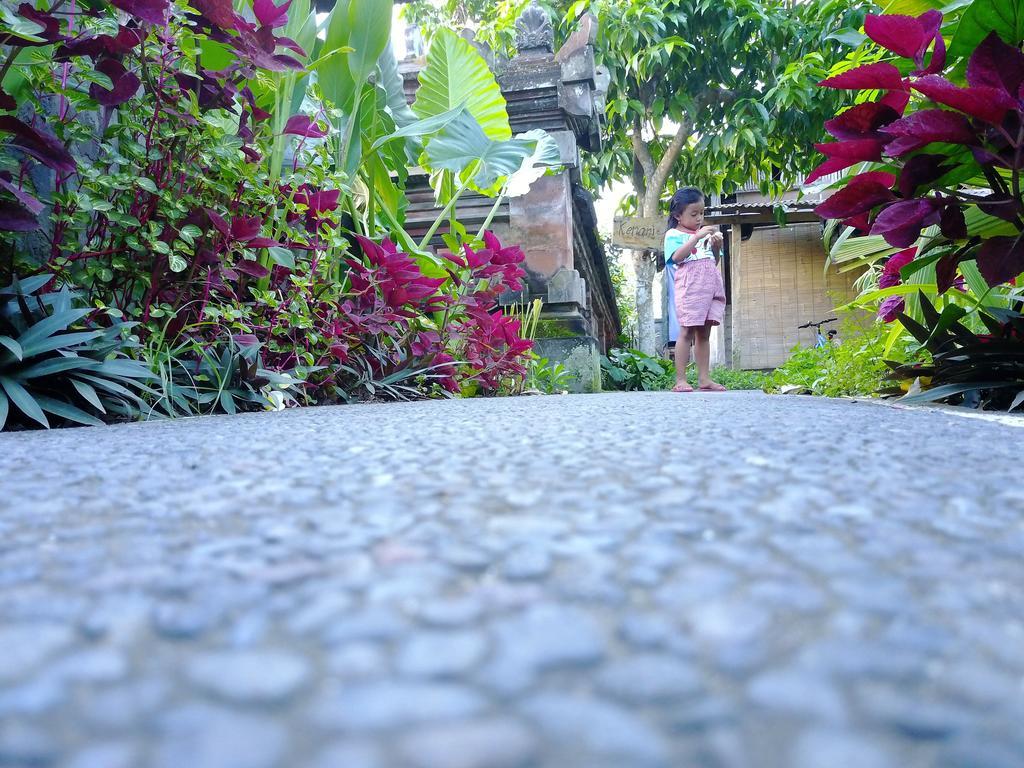 Pangkung Sari Hotel Ubud Kültér fotó